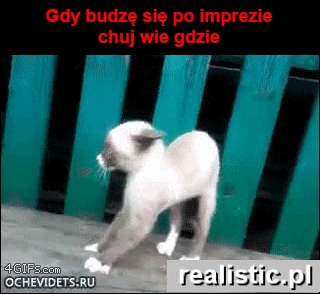 Gdy budzę się po imprezie