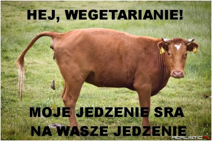 Hej wegetarianie!