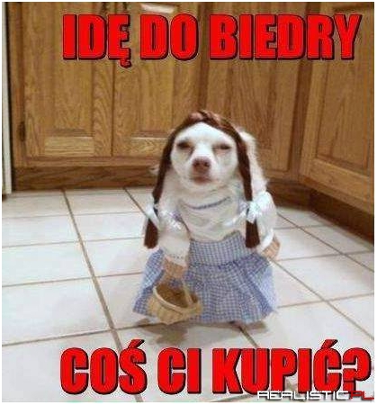 Idę do biedry!