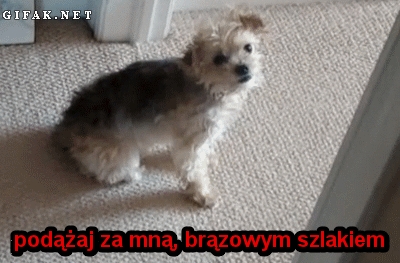 Za mną :)