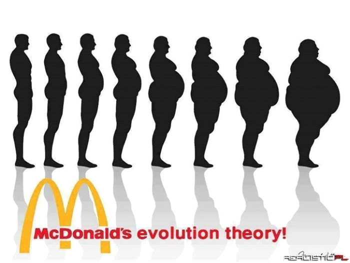 McDonald's evolution theory