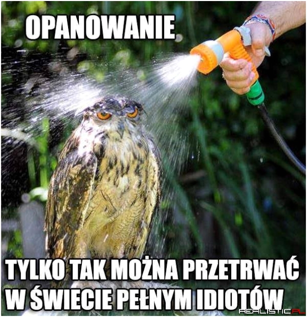 Sztuka opanowania