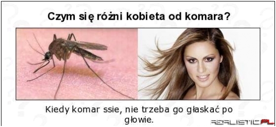 Kobieta vs komar