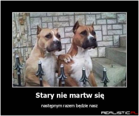 Stary nie martw się