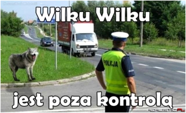 Wilku...