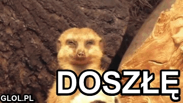 Doszłę