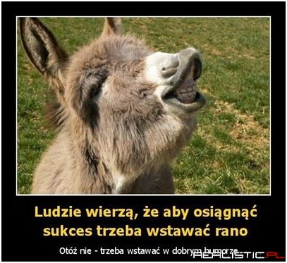 Osiąganie sukcesu