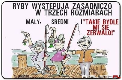 Trzy rozmiary ryb