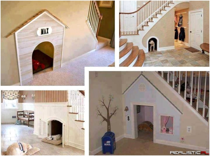 Amazing dog house!