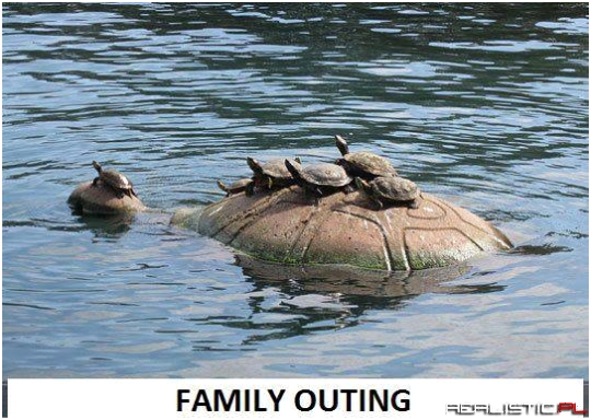 Family Outing