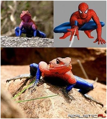 Every species have a super hero.(fixed)