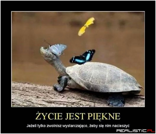 Życie jest piękne!