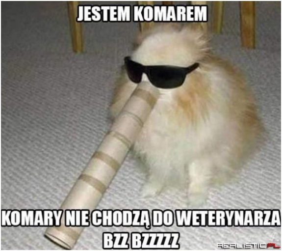 Jestem komarem