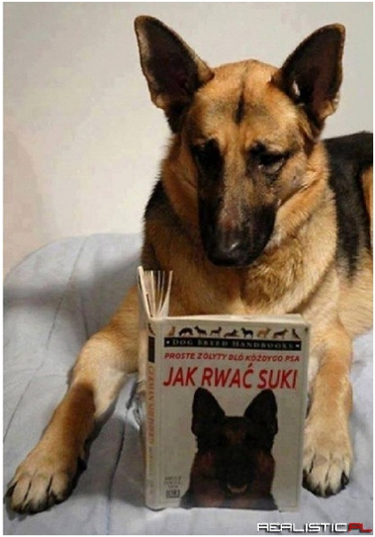 Jak rwać suki :D