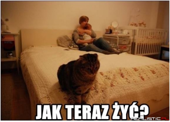 Jak żyć?