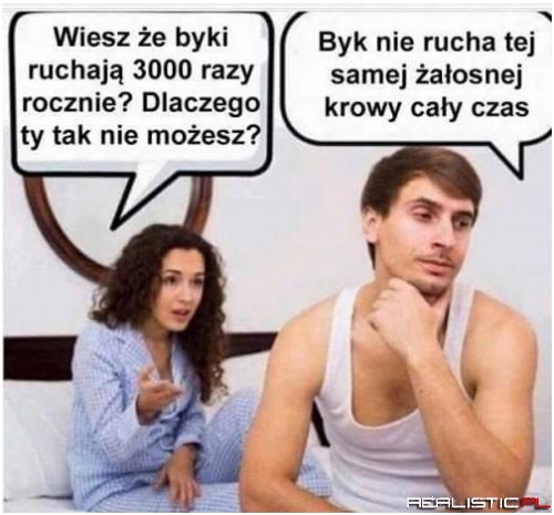 Żałosna krowa ;)