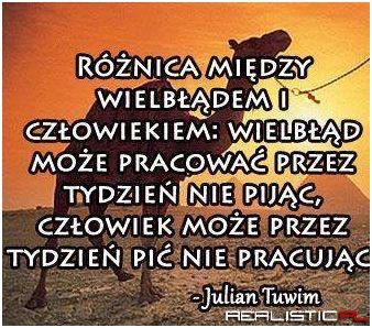 Różnica między wielbłądem a człowiekiem