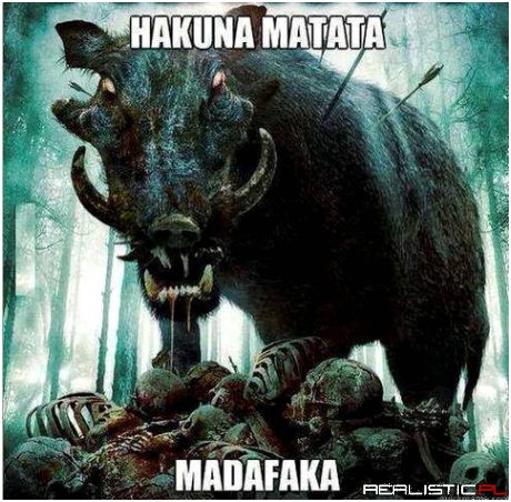 Hakuna matata