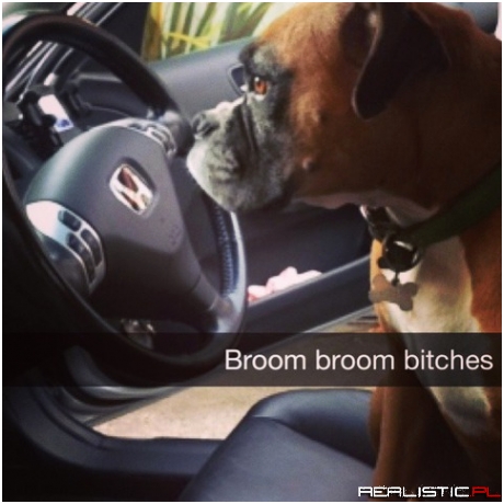 Broom Broom