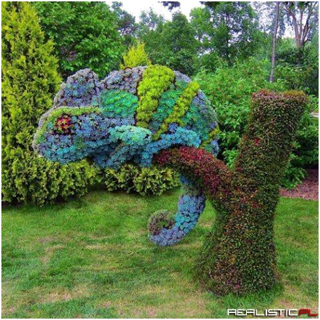 Chameleon, Montreal Botanical Garden