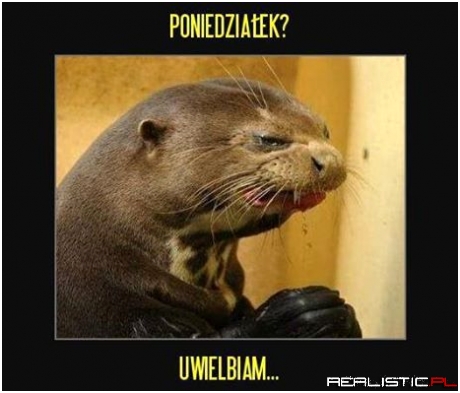 Poniedziałek