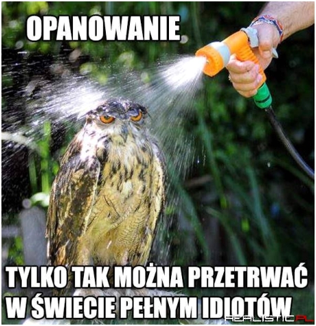 Sztuka opanowania