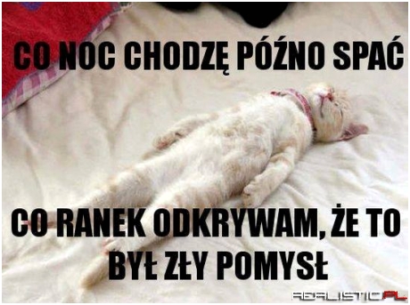 Co noc...