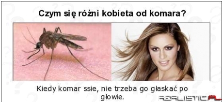 Kobieta vs komar