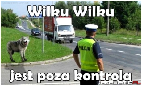 Wilku...