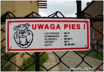 Uwaga pies