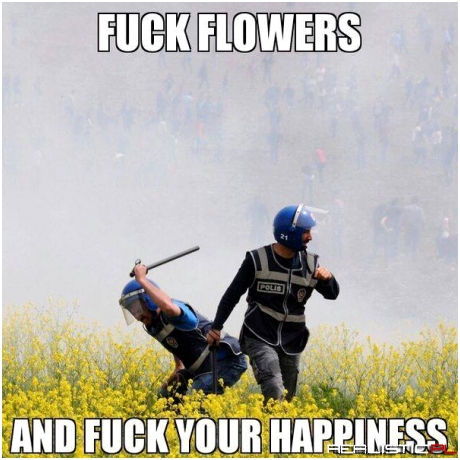 As an allergy sufferer