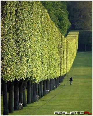 Chateau de Sceaux, Paris