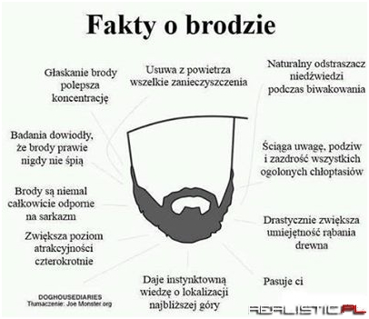 Fakty o brodzie