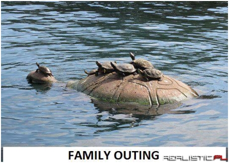 Family Outing