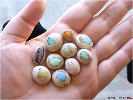 These opals look like mini hatching dragon eggs