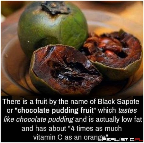 Black Sapote