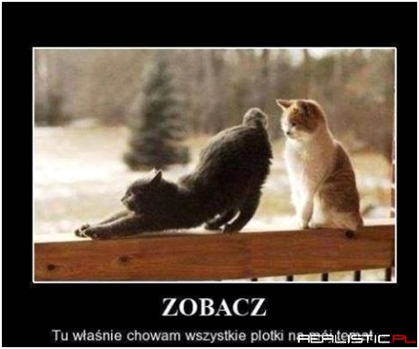 Zobacz...