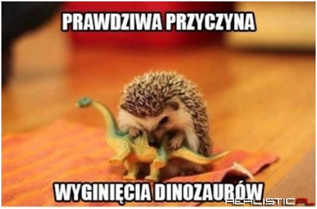 Wygląda groźnie