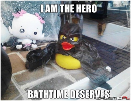 The Duck Knight