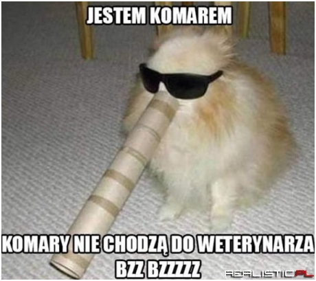 Jestem komarem