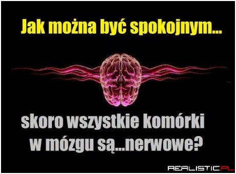 Jak można być spokojnym...