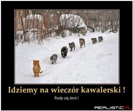 Rudy się żeni :D