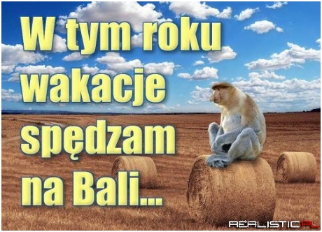 Wakacje...